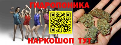 ECSTASY Кингисепп