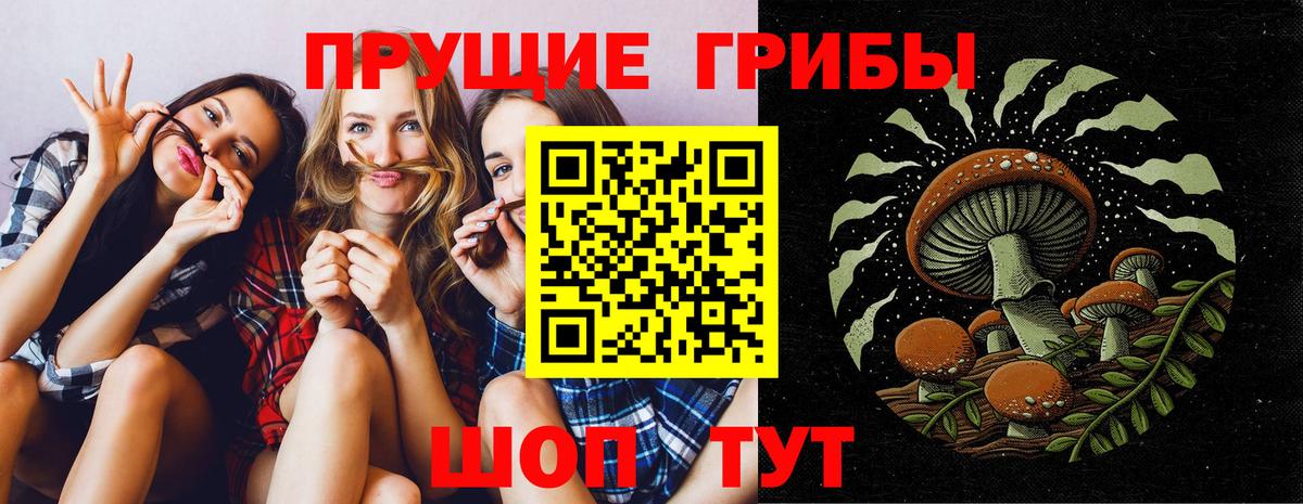 что такое наркотик  Вход с VPN  Кстово  Галлюциногенные грибы Cubensis 