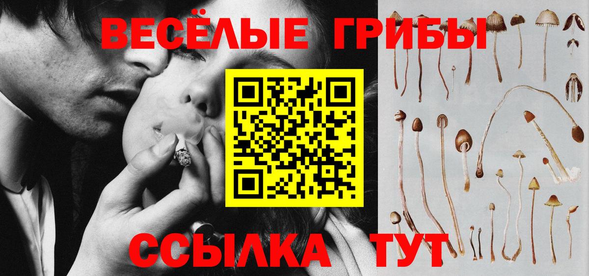 Галлюциногенные грибы Cubensis Кстово